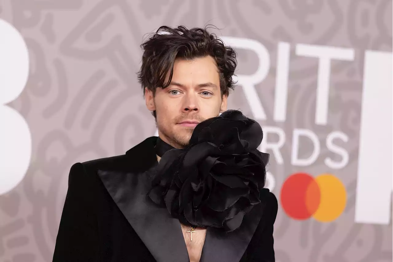 Harry Styles Reveals How He Really Feels About A One Direction Reunion