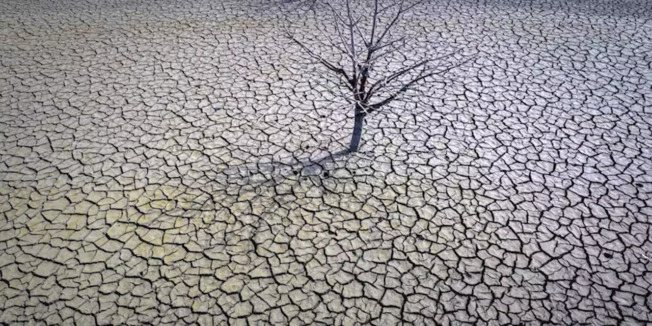 In Spagna c'è un gran caldo anomalo e precoce - Il Post