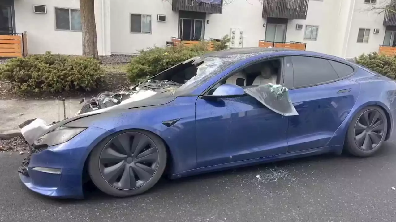 Tesla Sentry Cam Video Reveals Model S Fire Was Arson, Not Battery-Related