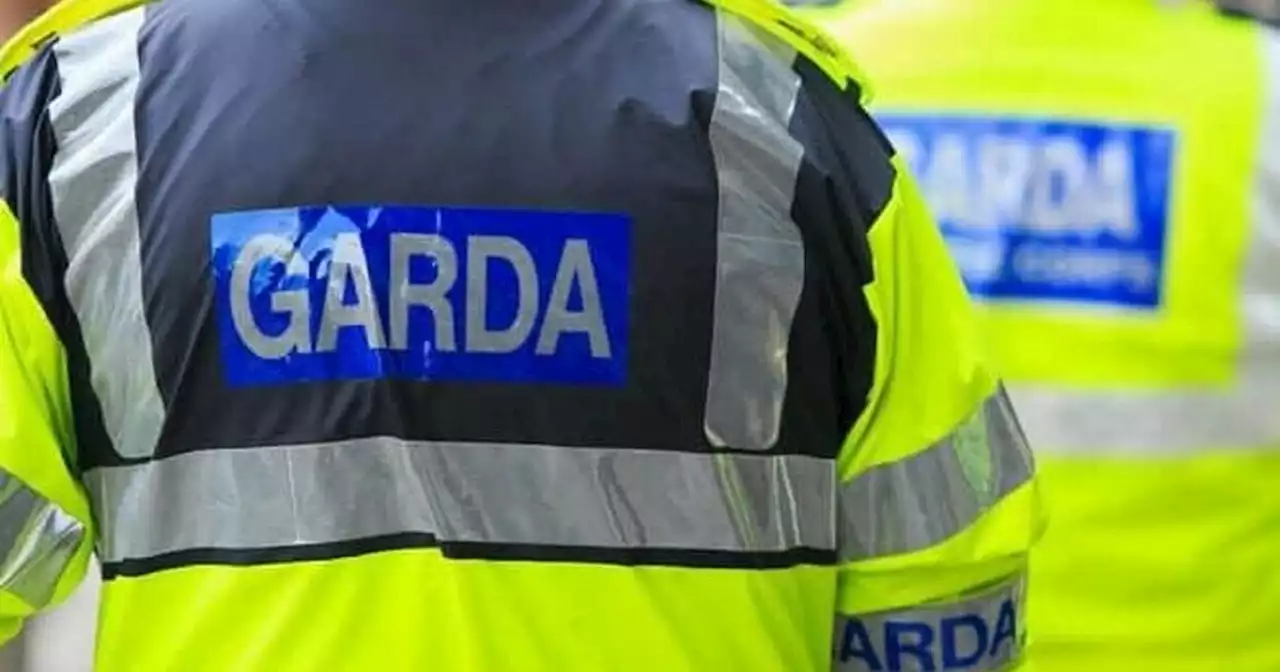 Defence Forces and Gardaí seize drugs, cash and jewellery in major bust