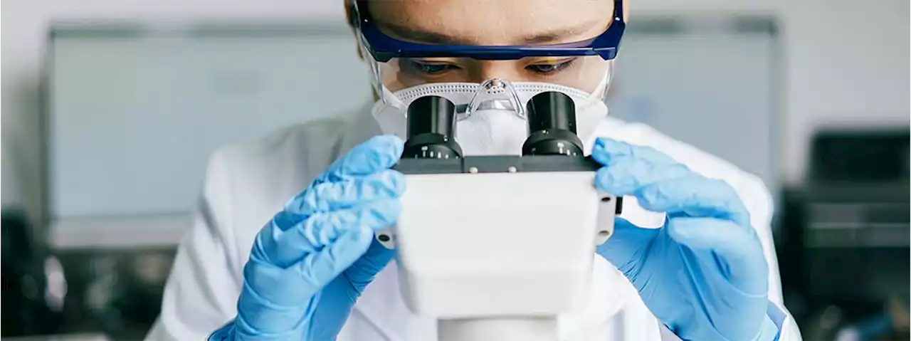 Quantum computing, generative AI employed for mRNA science - IT-Online