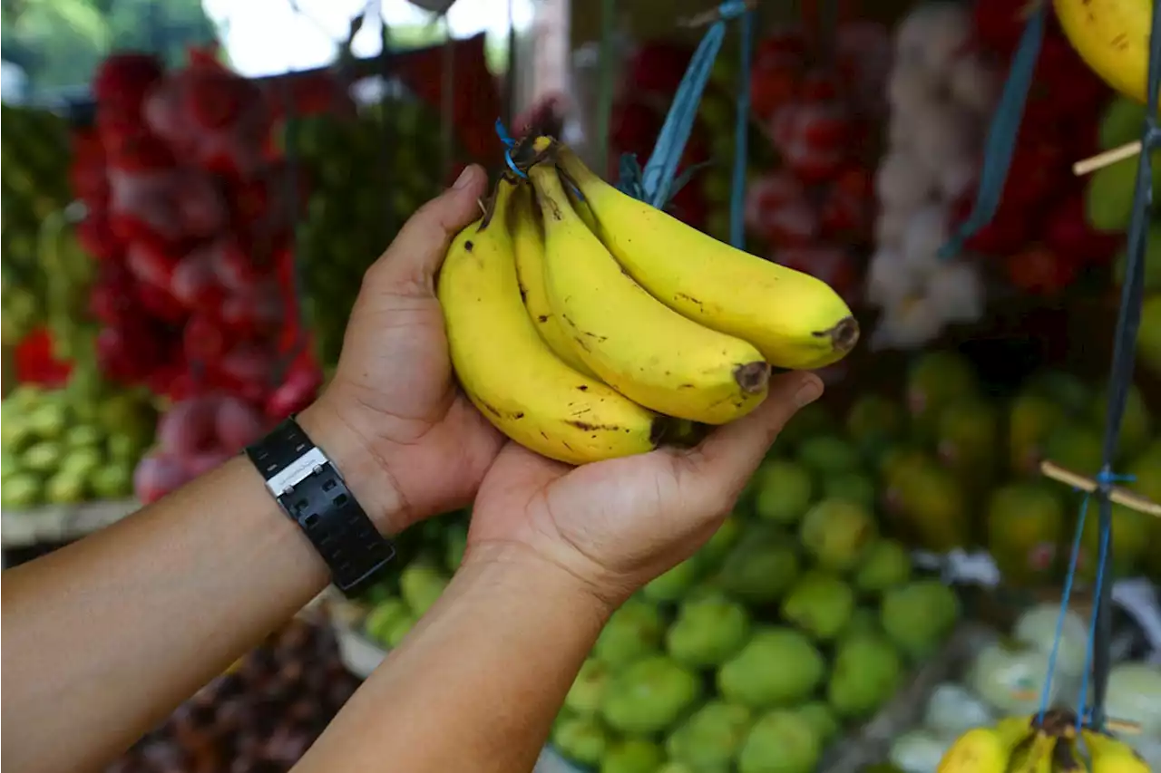 5 Manfaat Buah Pisang yang Luar Biasa!