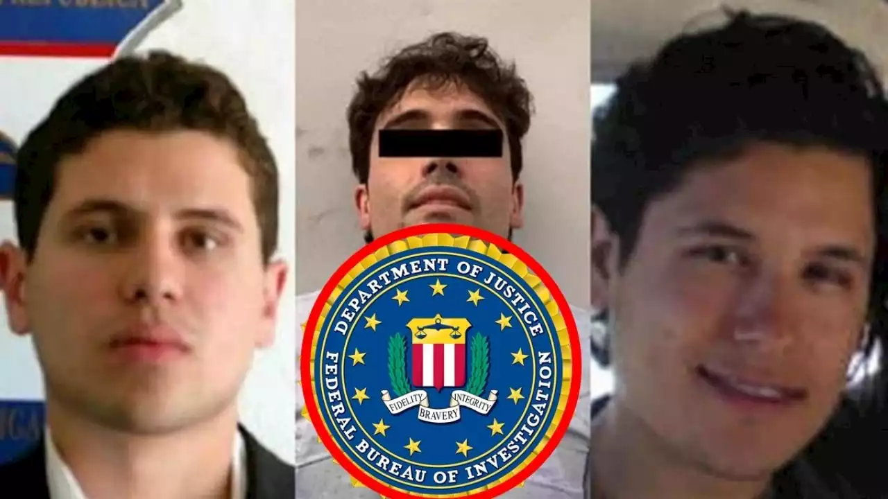 FBI tiene casi 400 investigaciones contra Chapitos y líderes de cárteles