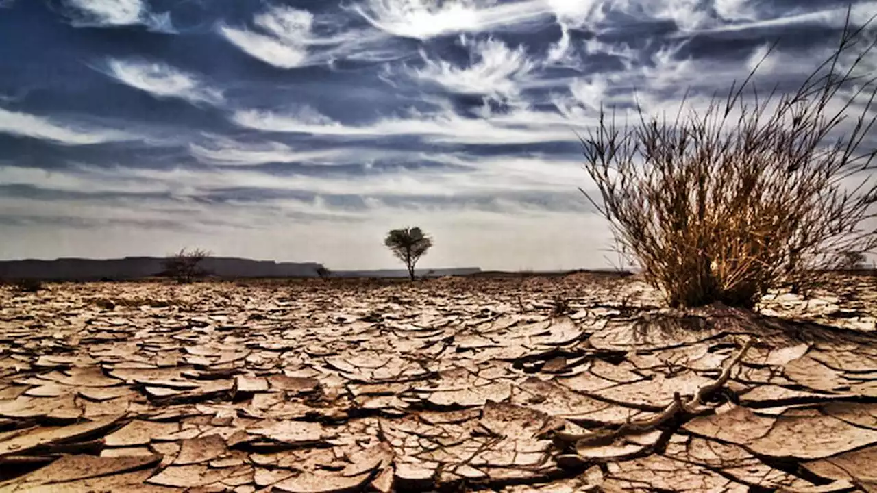 HEADLINE: Cuaca Panas dan Potensi El Nino Agustus 2023 di Indonesia, Antisipasinya?