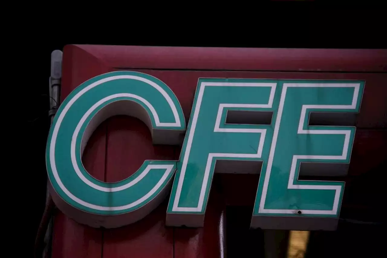 Ingresos netos de CFE incrementan 10% en 2022