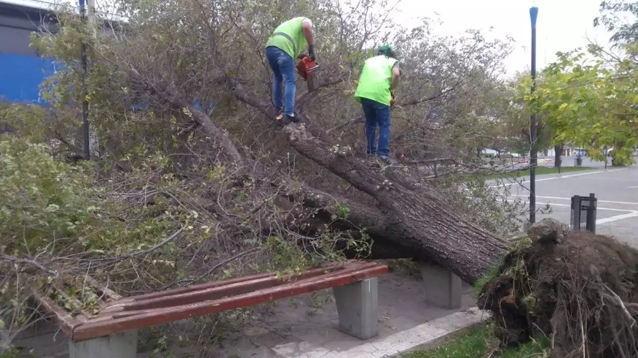 Alerta por vientos fuertes en Buenos Aires y otras ocho provincias