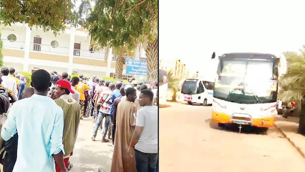 Sudan: Nigerians stranded in desert, lament after buses' fuel finished