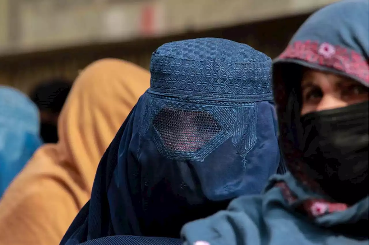 UN Security Council demands Taliban ‘swiftly reverse’ women bans | The Malaysian Insight