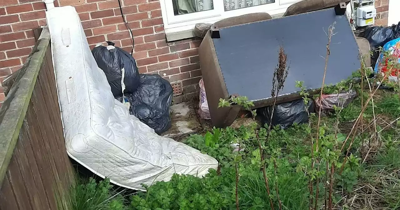 Dog owner fined £750 after neighbours complain of smelly garden