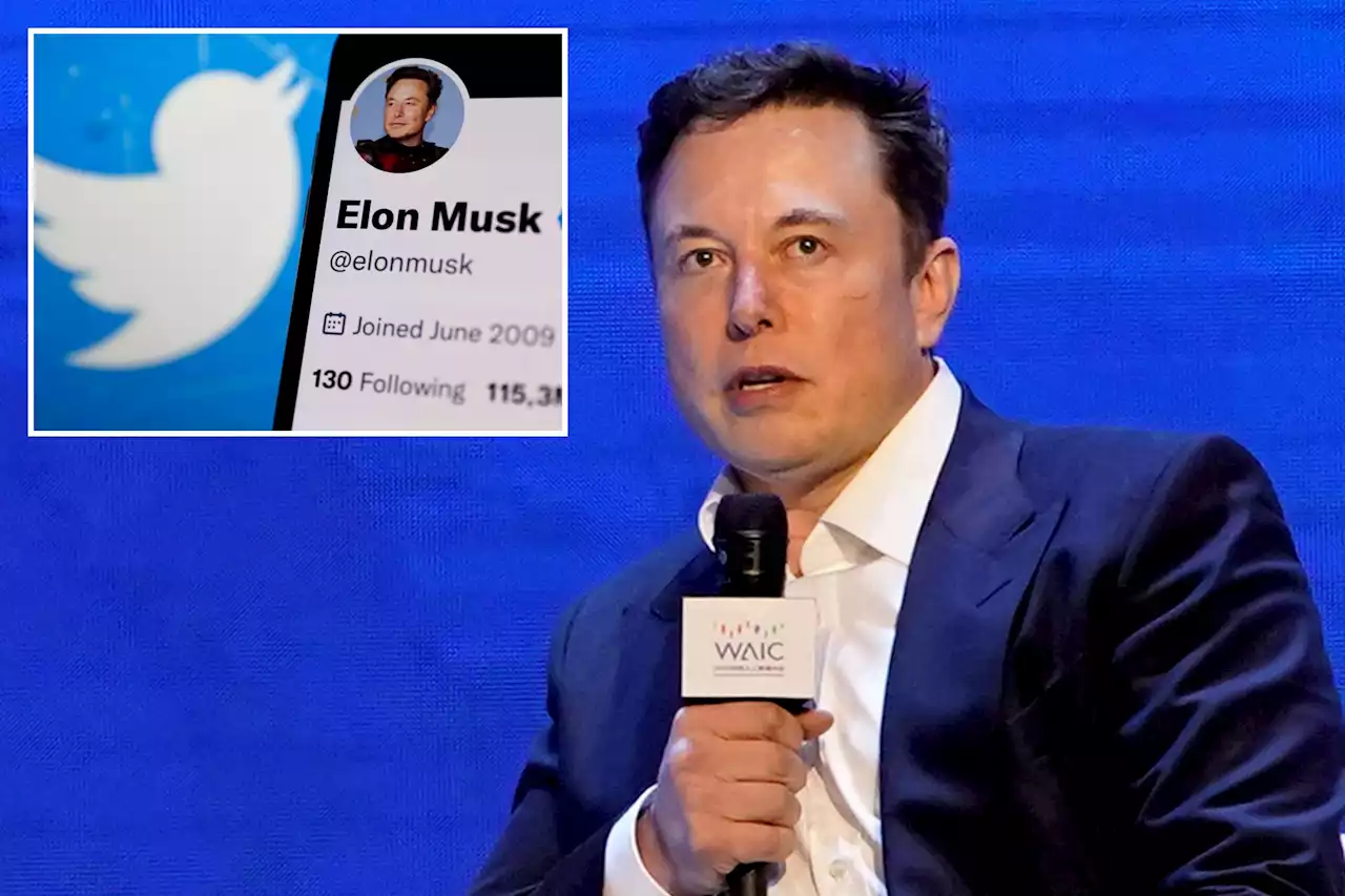 Elon Musk cuts Twitter’s parental leave from 20 weeks to 2, internal docs show