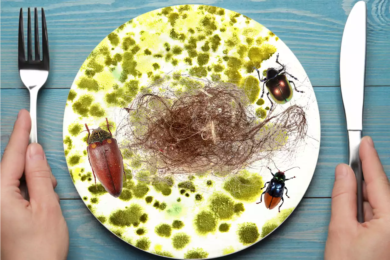 Hair, bugs, mold — the shocking truth behind what’s inside your favorite foods