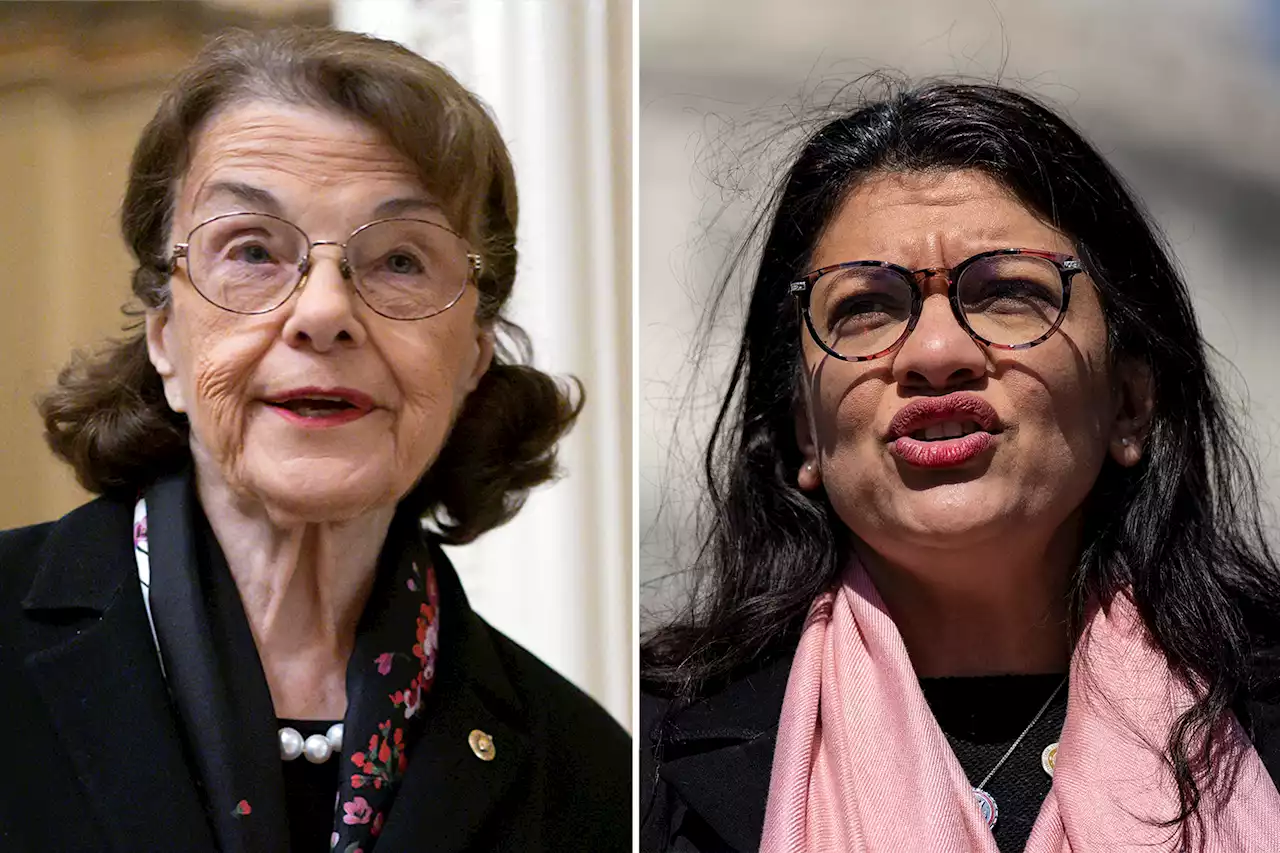 ‘Squad’ member Rashida Tlaib joins calls for Dianne Feinstein to quit