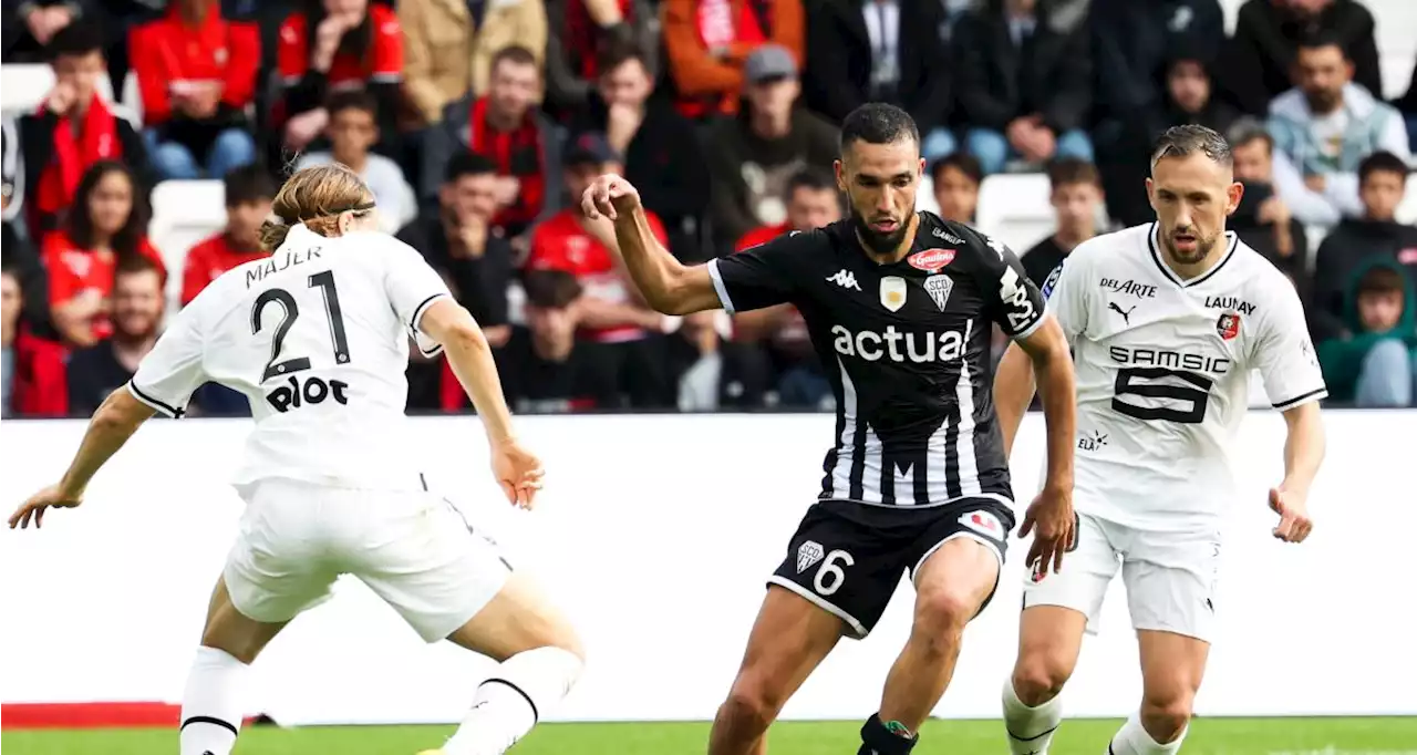 Rennes - Angers : les compos probables et les absents