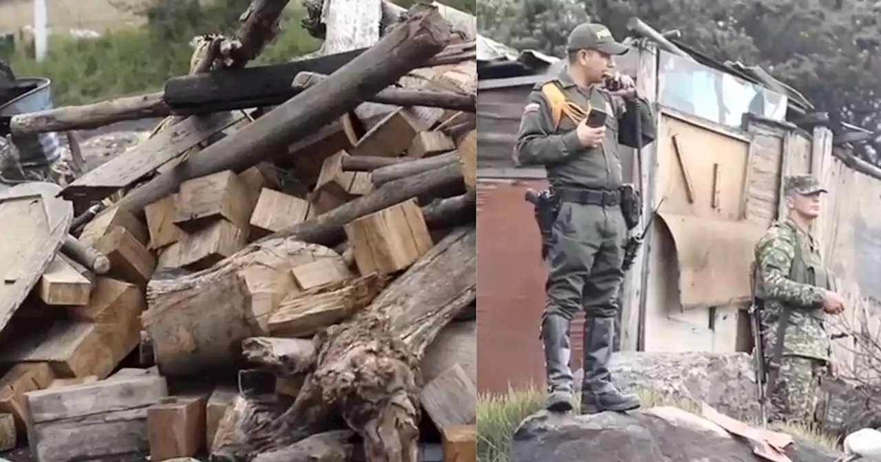 Niños eran explotados laboralmente en una mina de Ciudad Bolívar para producir carbón vegetal