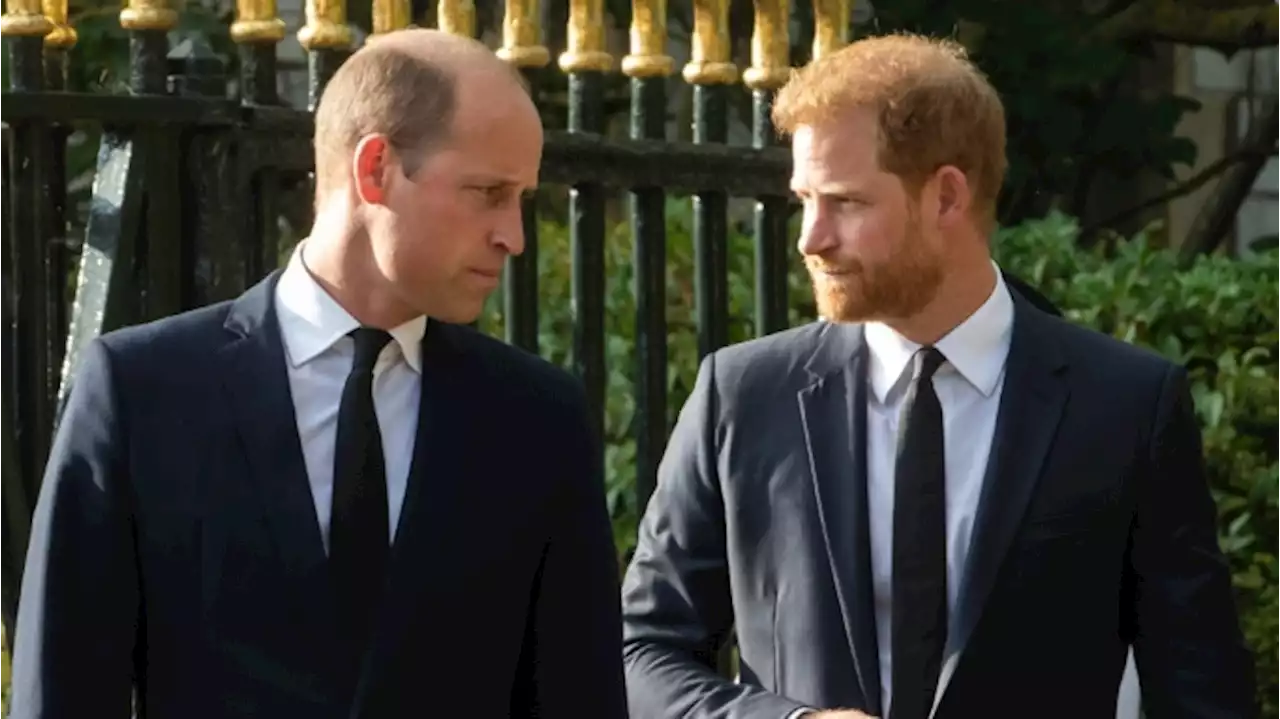 Prince William Is Furious With Prince Harry for Revealing His Phone Hacking Payout: Report