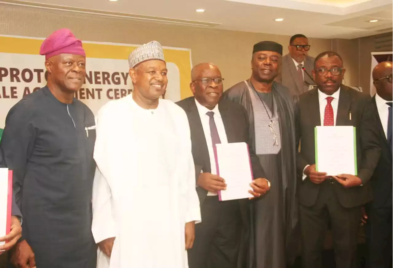 Proton Energy signs deal with NNPC, SPDC for $250m power project | TheCable
