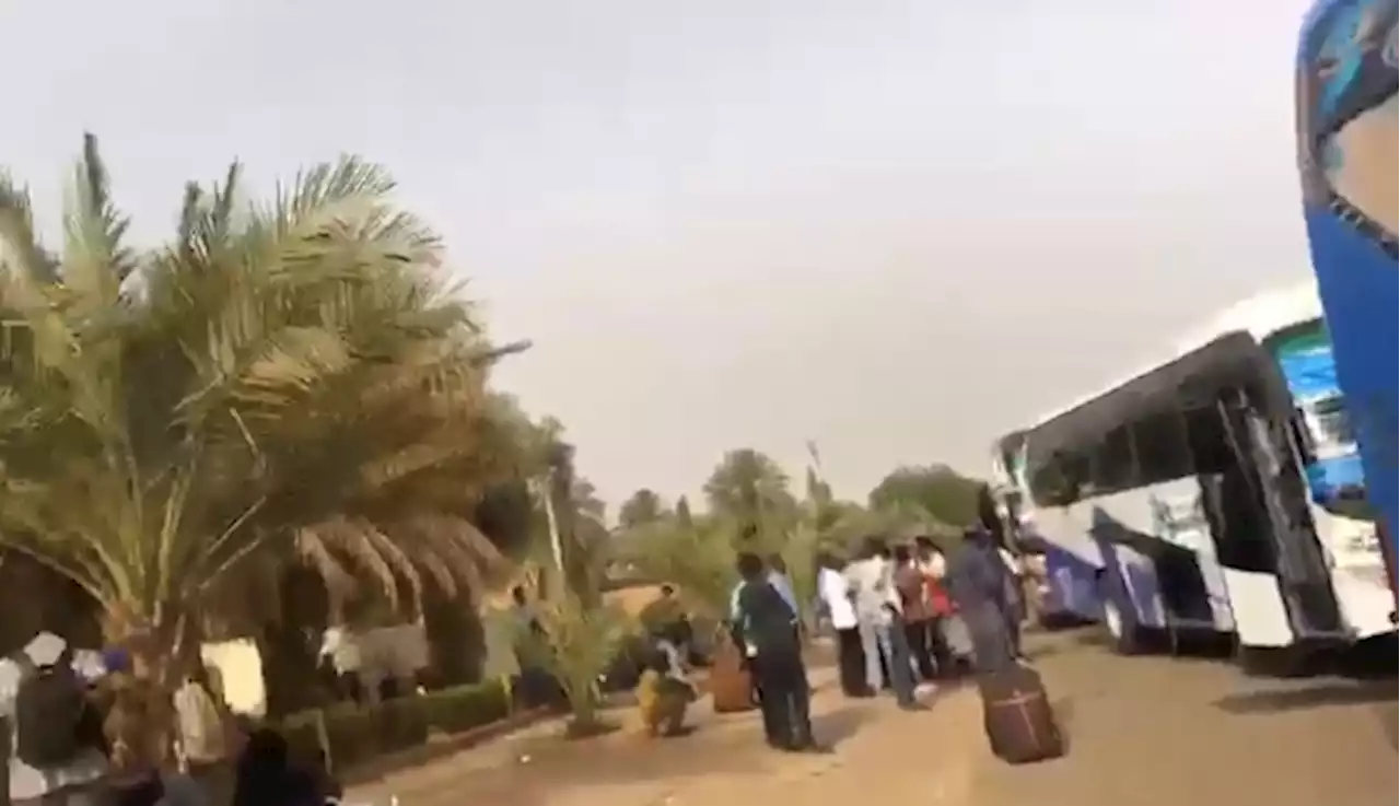 Sudan: Evacuated Nigerians stranded at Egypt border over visa issues, says FG | TheCable