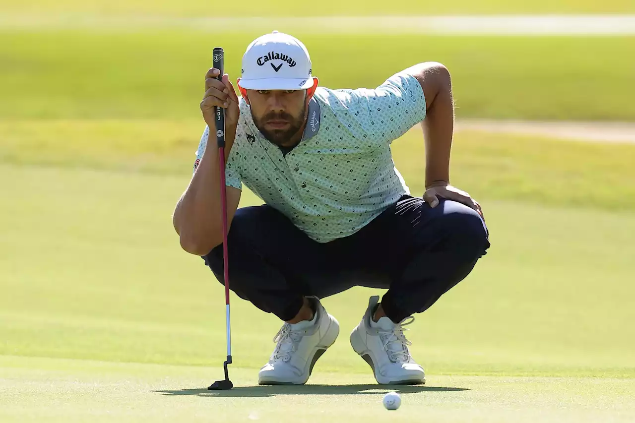 WATCH: SA golfer Van Rooyen hits the deck to avoid swarm of bees | The Citizen