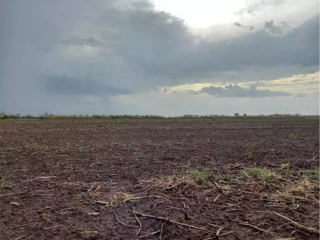 Las lluvias fueron insuficientes en abril y preocupa la falta de agua para sembrar trigo en la zona núcleo