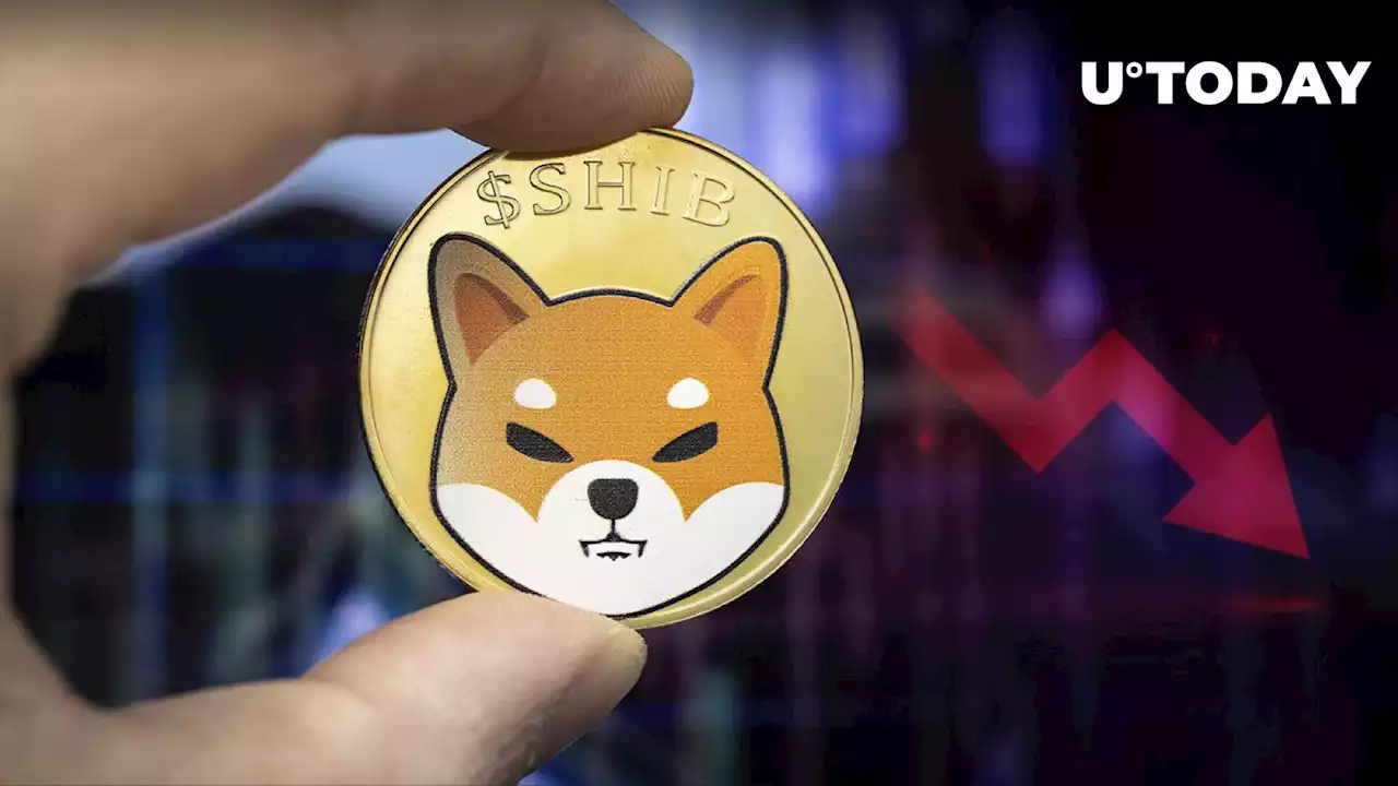 Shiba Inu (SHIB) Might Plummet to $0.000009 Level, Here's Why