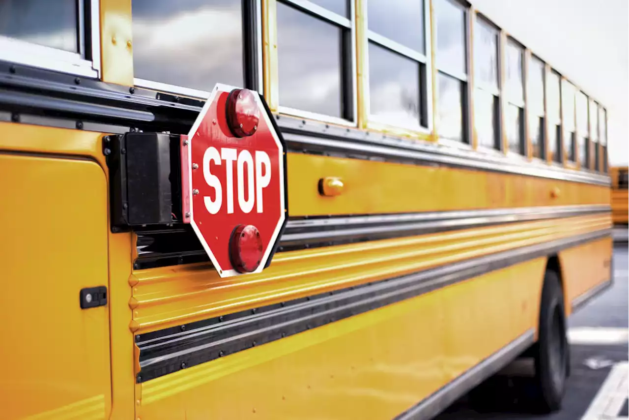 Michigan seventh grader takes the wheel for ailing school bus driver