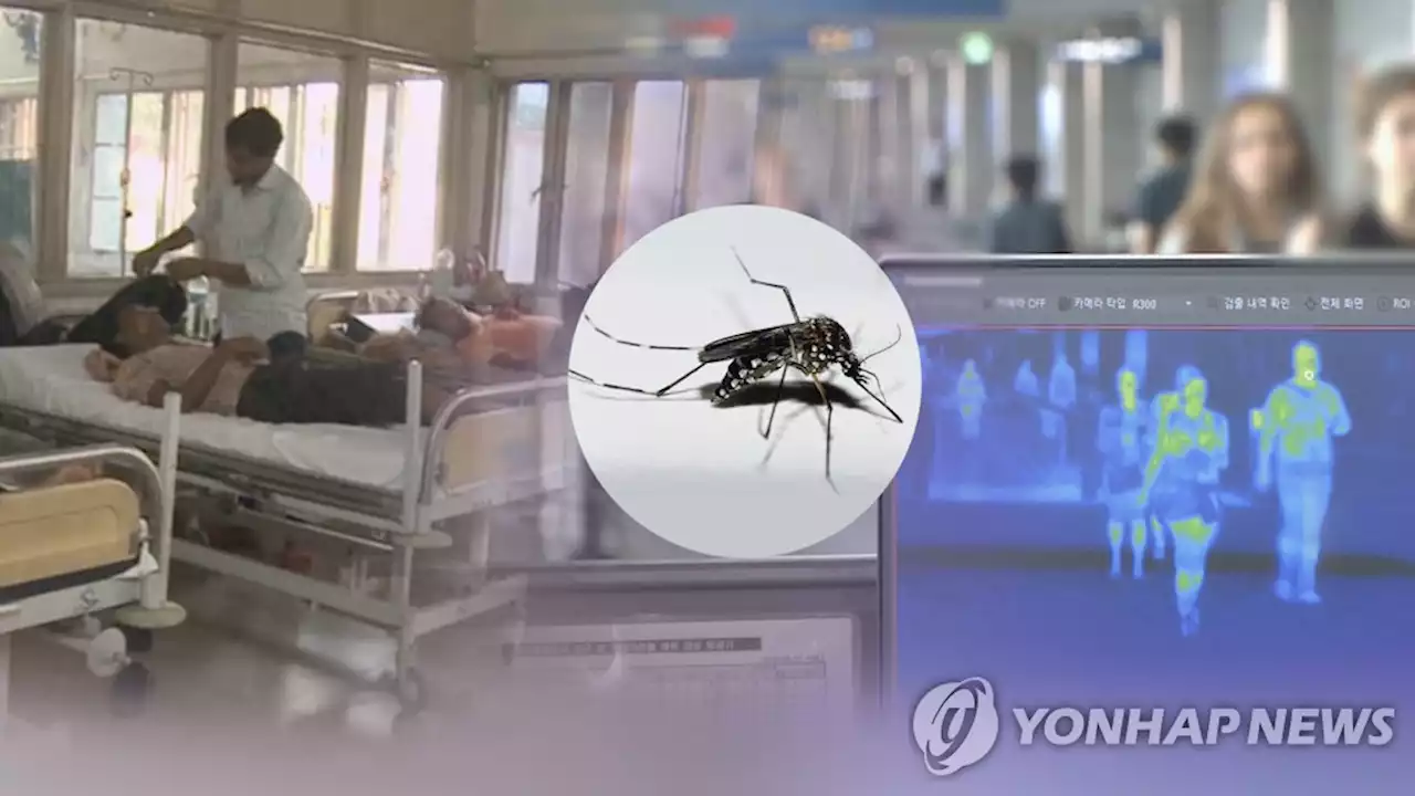 귀국 후 감염병 신고 환자 10배로…'해외여행시 주의하세요' | 연합뉴스