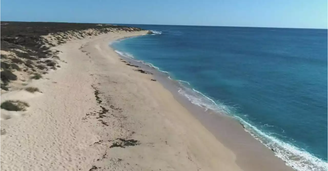 WA shark attack leaves 11-year-old boy with serious injuries