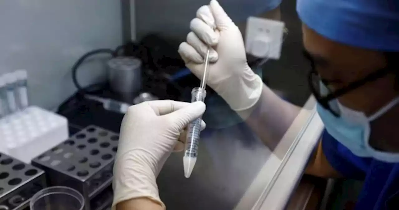 China weighs giving single women IVF access to stem population decline