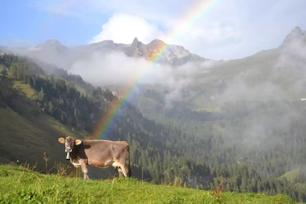 Wüstes Wetter wird die Lager füllen - bauernzeitung.ch