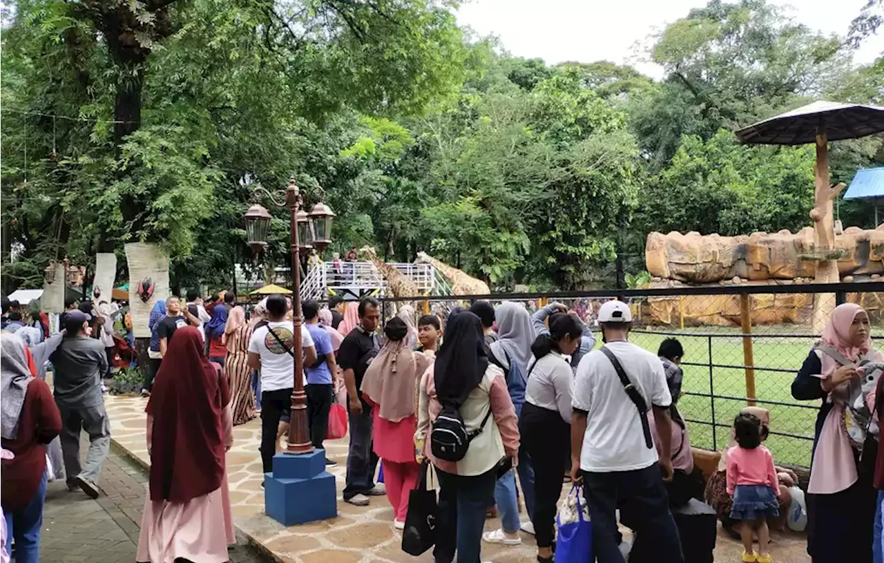 Long Weekend, Ribuan Pengunjung Jejali Kebun Binatang Surabaya