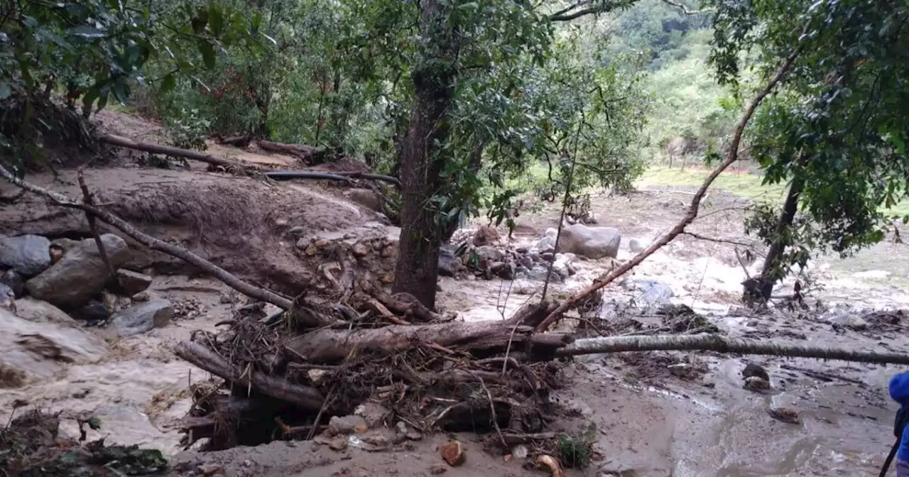 Lluvias generaron pérdidas de cultivos y colapso de dos puentes en el municipio de Vetas, Santander