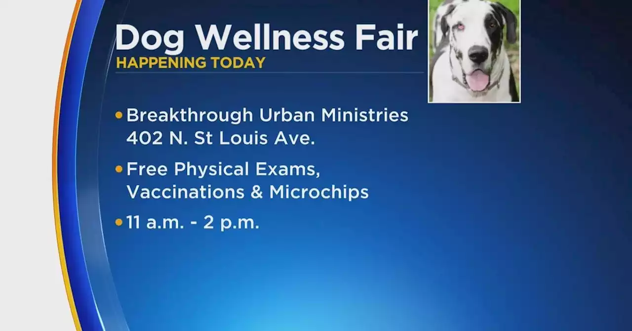 Animal Cruelty Society, Breakthrough Ministries hosting free Dog Wellness Fair