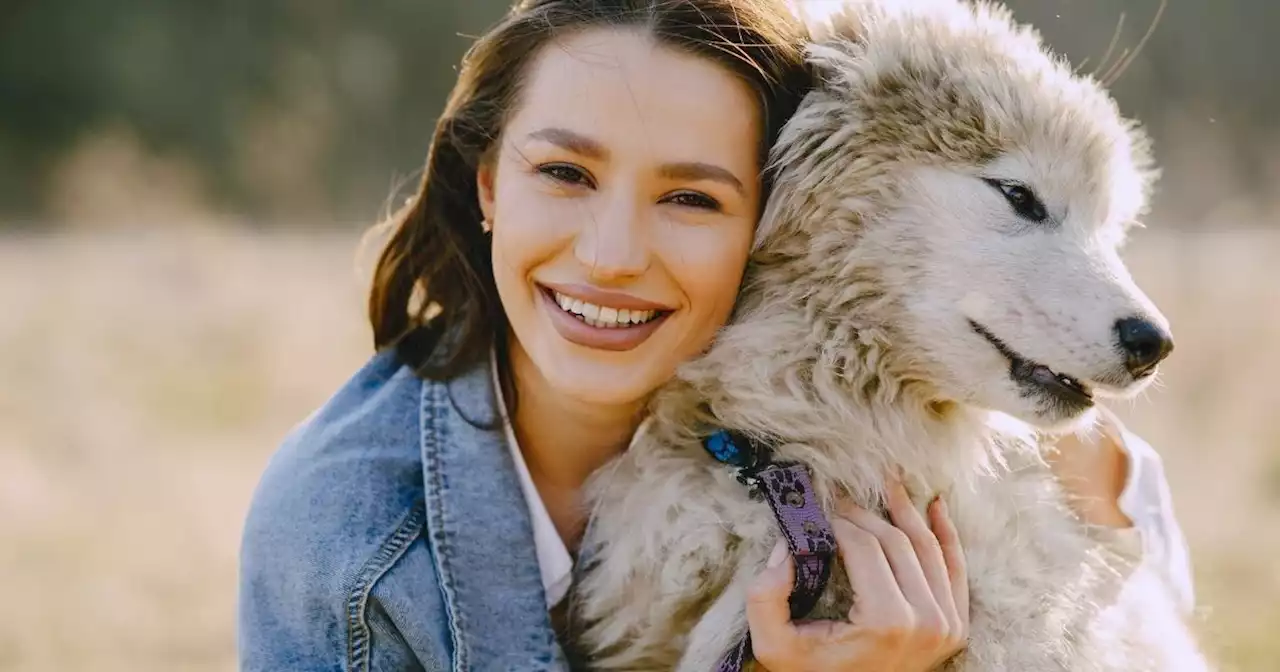 Allergique au chien de sa copine, elle lui fait une demande dévastatrice