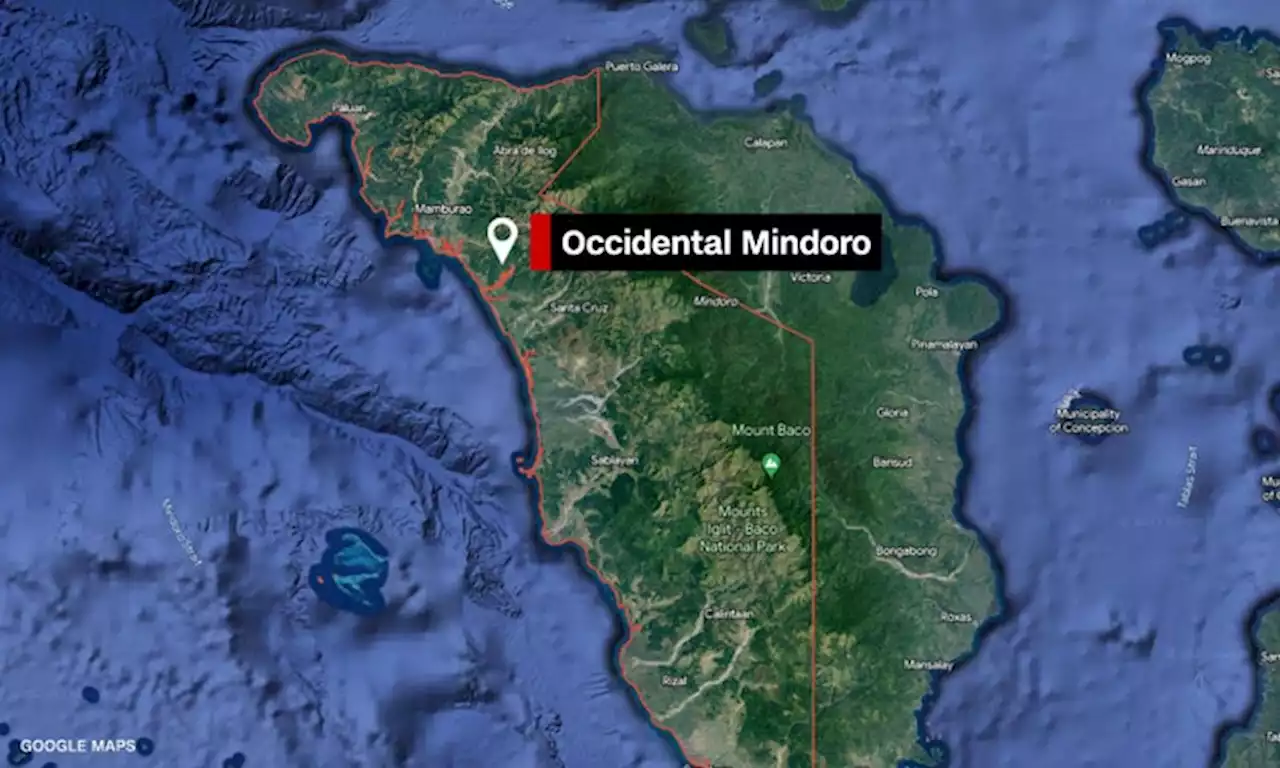 Electricity back in Occidental Mindoro but vice governor questions power monopoly