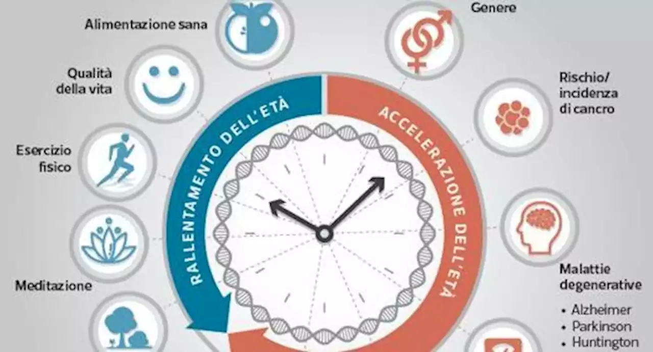 Il riposo dopo un forte stress? Così si può anche ringiovanire