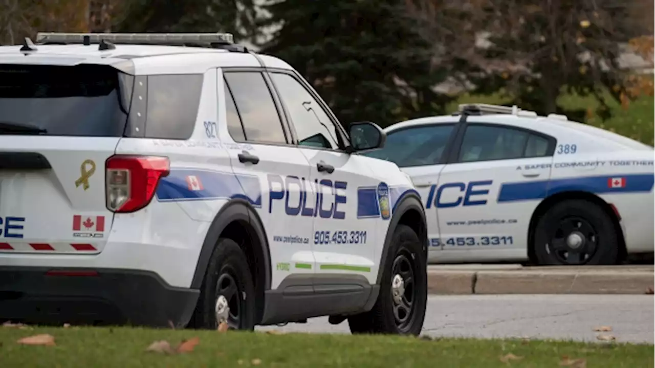 Police say 2 men in white van interacting with Mississauga youths is of 'non-criminal nature'