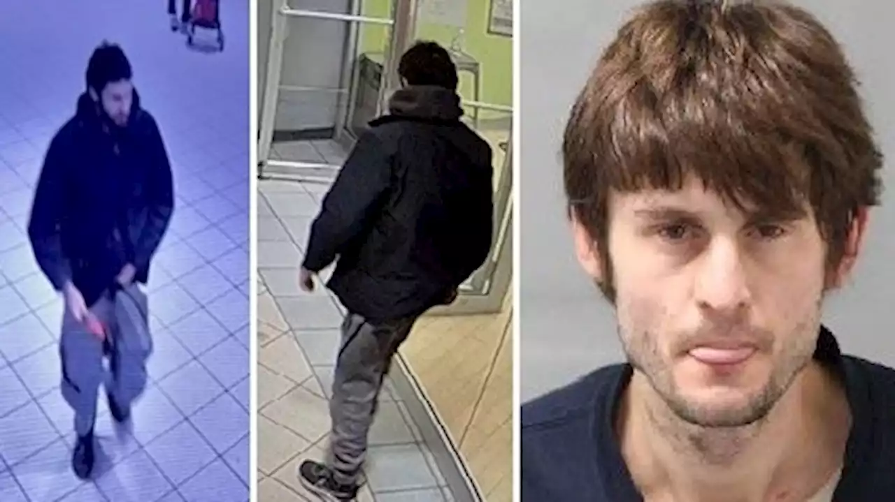 Suspect identified in daylight armed robbery of elderly woman in downtown Toronto