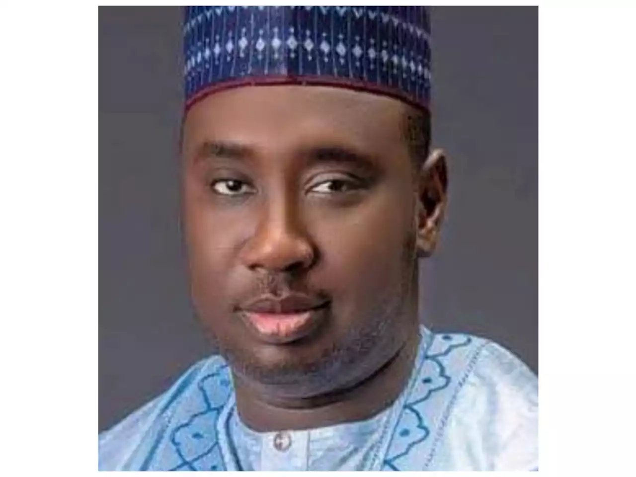 NNPP's Adamawa Central senatorial candidate defects to APC