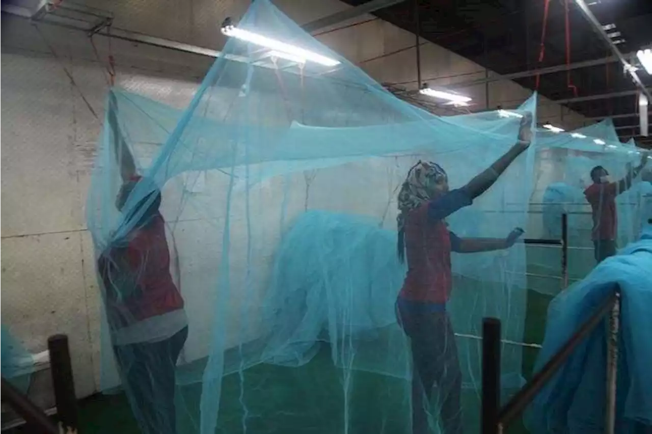 Osun making steady progress in malaria control - Programme Officer