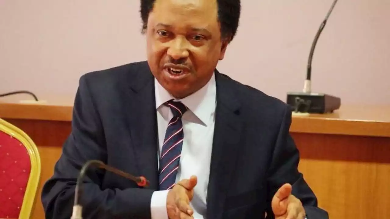 Real reason FG postponed 2023 census - Shehu Sani