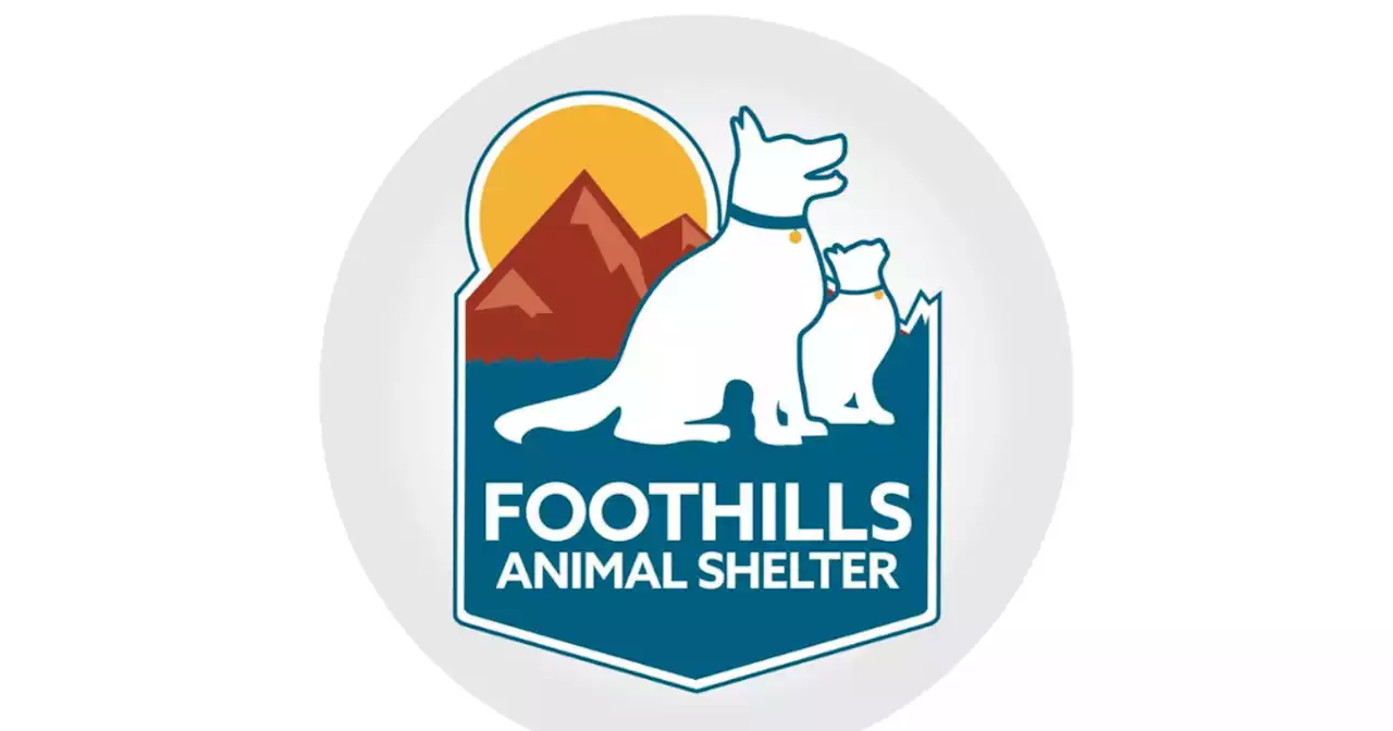 Foothills Animal Shelter taking in 12 dogs after tornado damages Oklahoma rescue