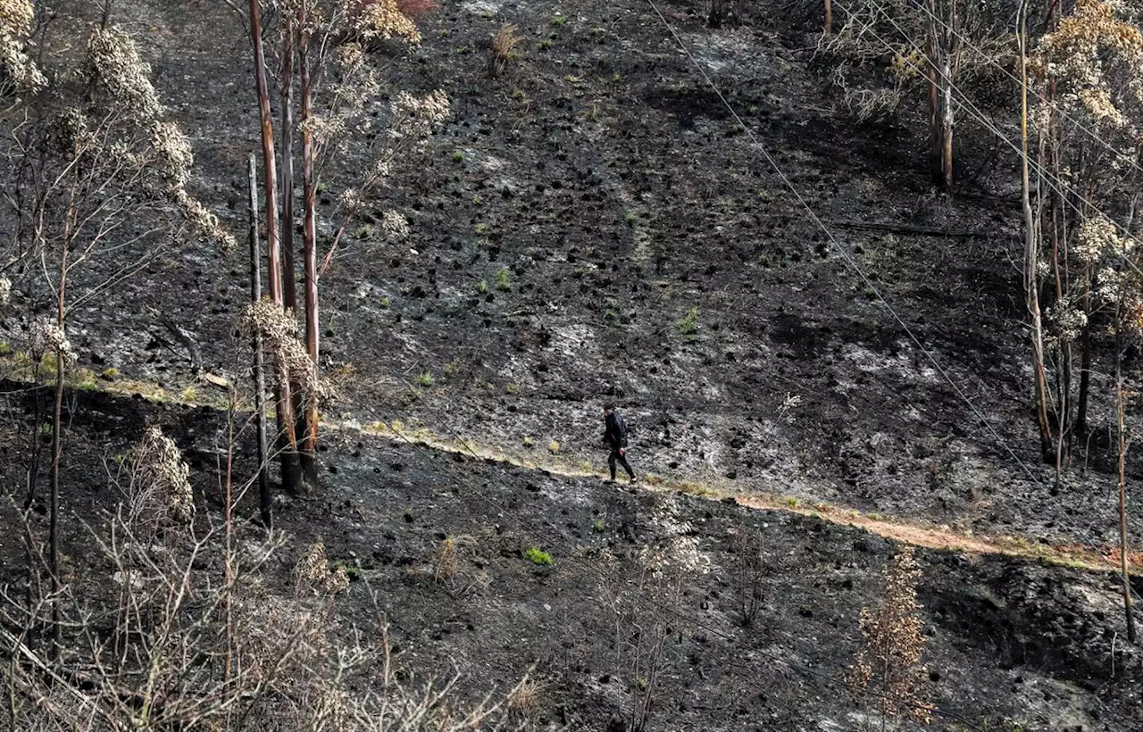 El Gobierno insta a las comunidades autónomas a que activen ya sus planes contra incendios