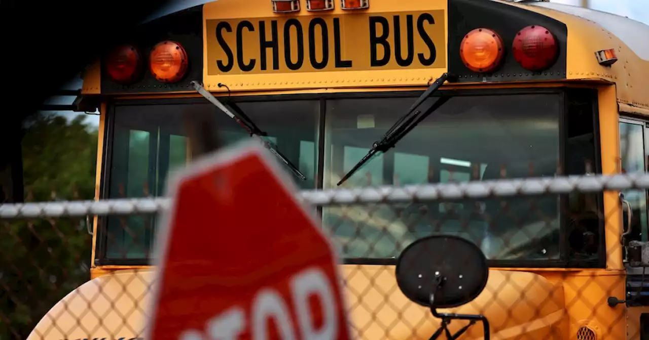 US teen saves the day as school bus driver faints