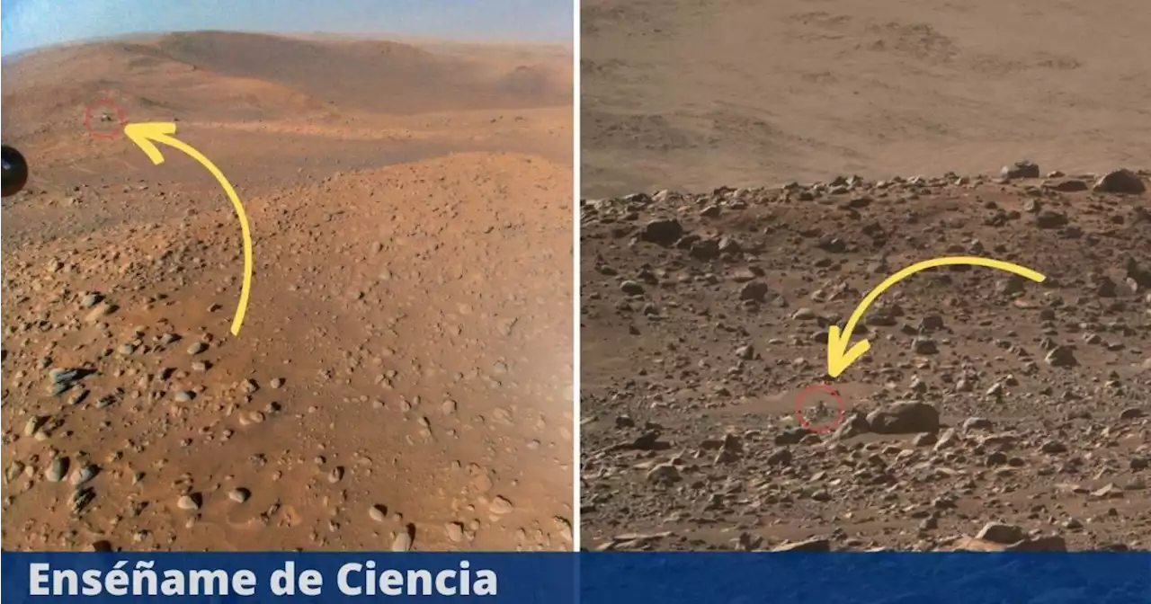 La NASA comparte fotografías de Marte con algo especial oculto, ¿puedes identificarlos?