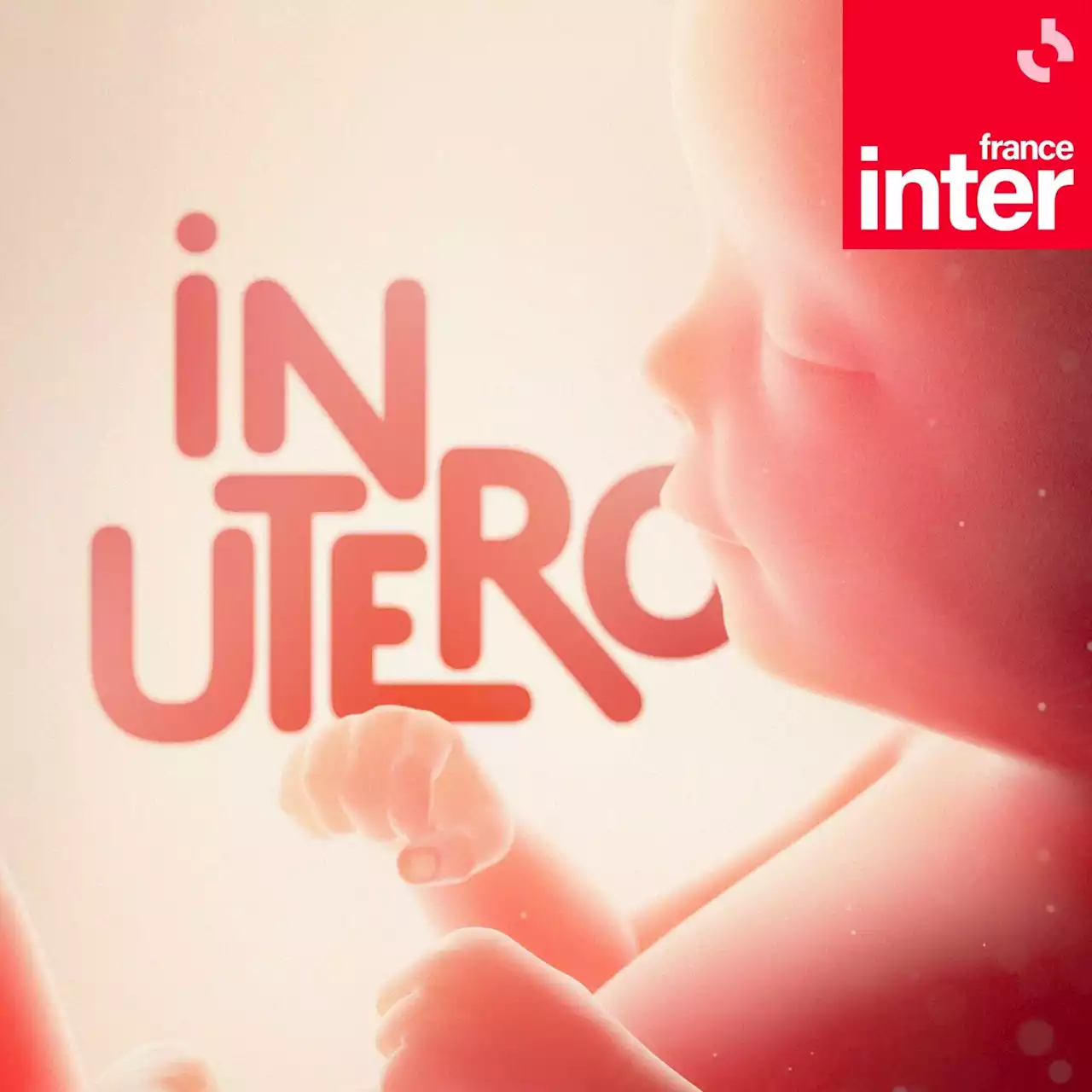 In utero : écouter le podcast et replay de France Inter