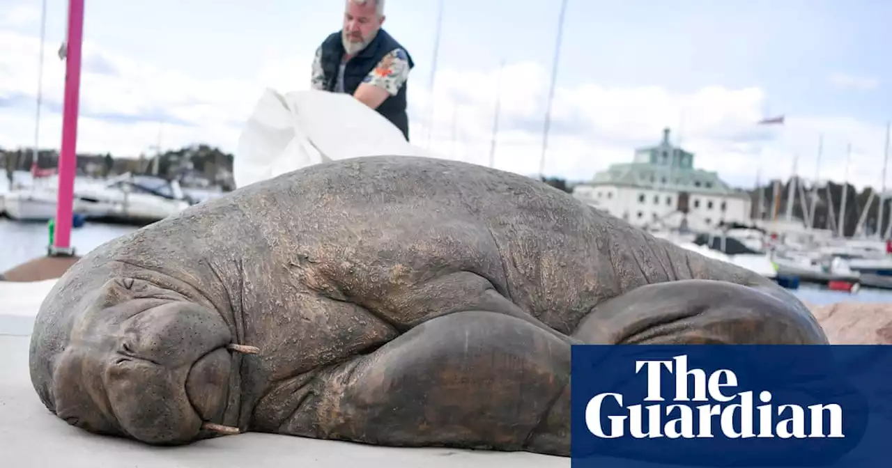 Sculpture of euthanised walrus Freya unveiled in Oslo