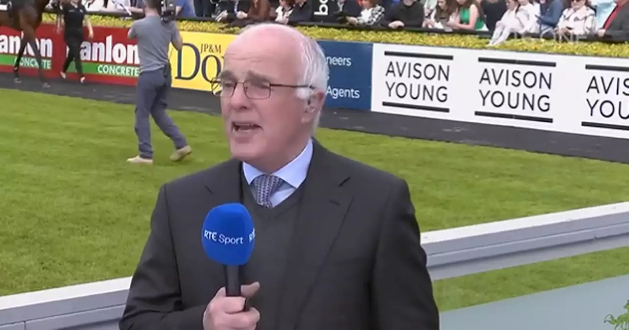 Ted Walsh stuns RTE colleagues as he retires live on air at Punchestown