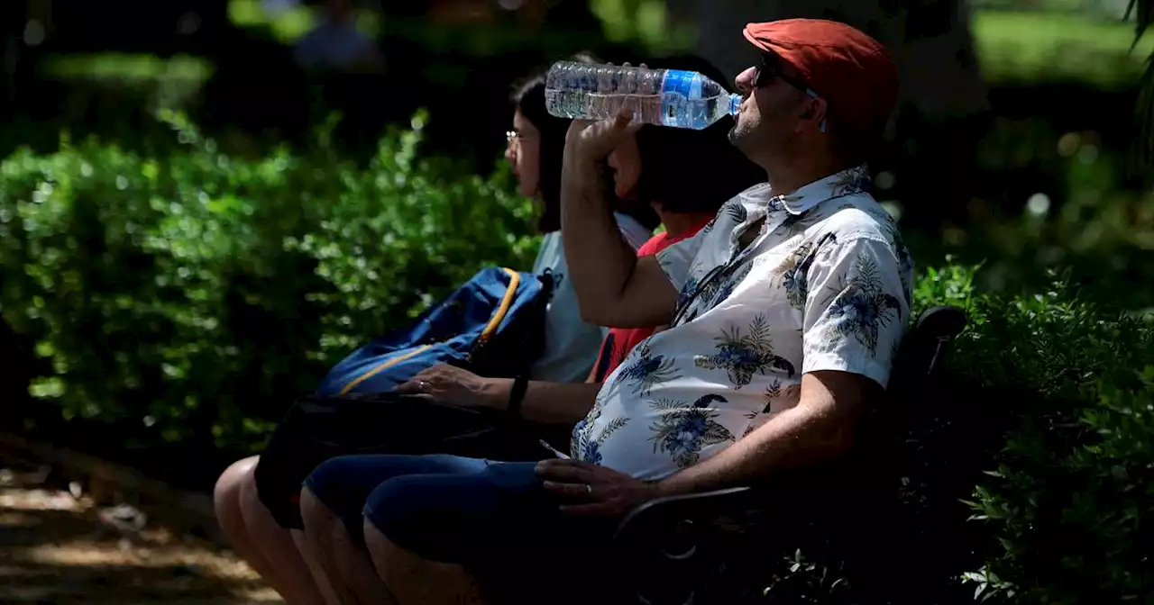 Spain bakes in summer-like heat with impact on reservoirs and daily life