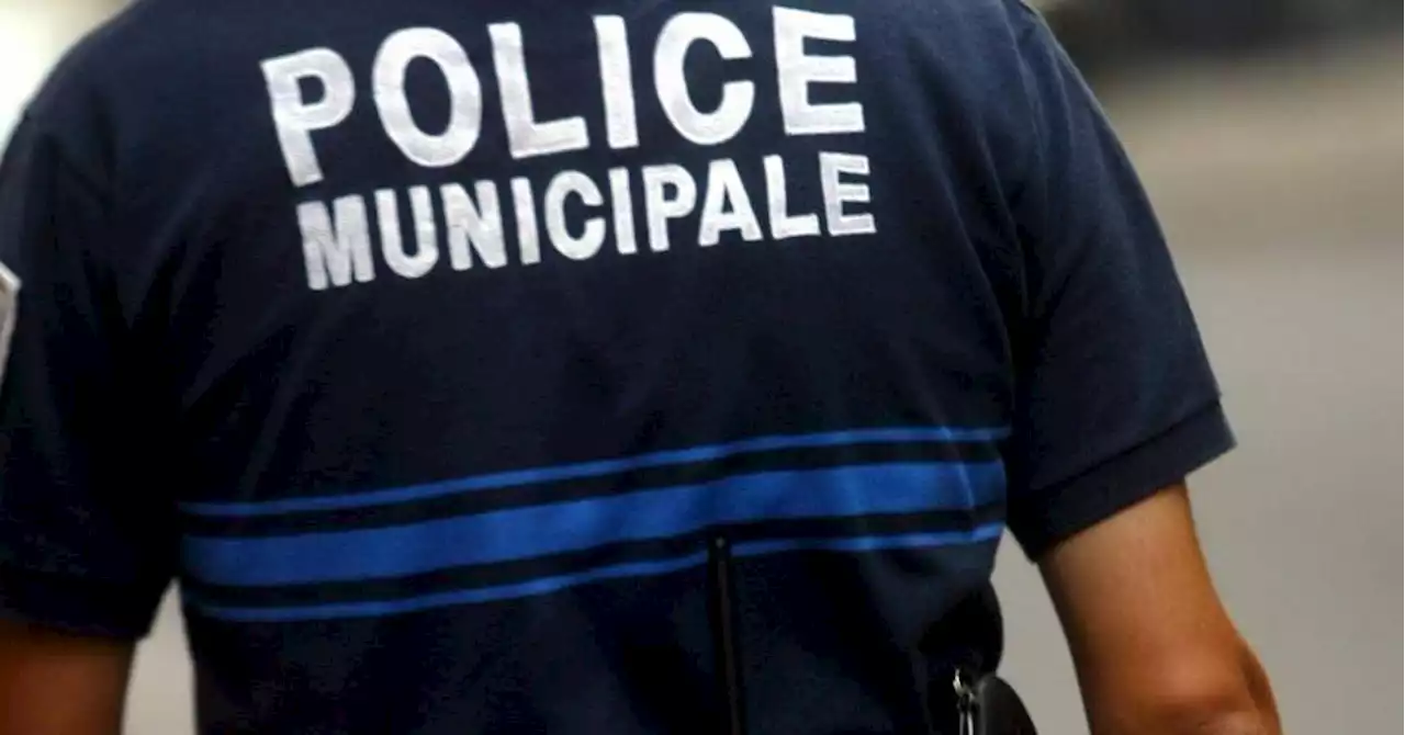 Sorgues : il s'en prend aux policiers municipaux