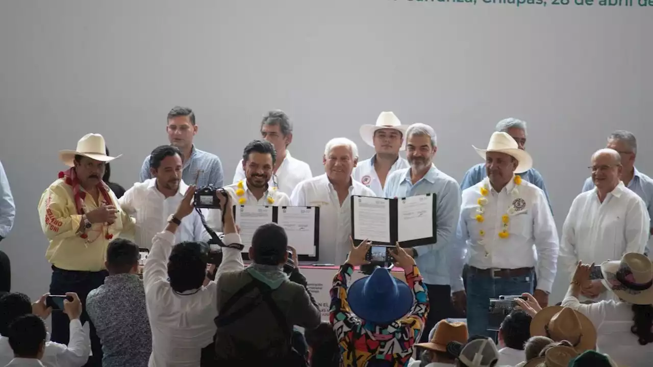 Adopta agroindustria de la caña de azúcar mejores prácticas laborales y seguridad social: Agricultura